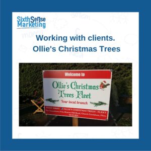Marketing Ollie's Christmas Trees